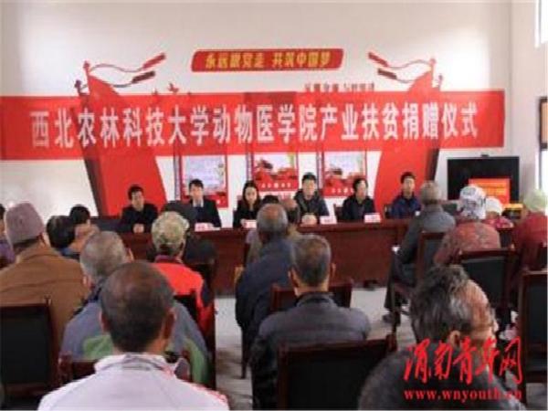 1555919363201089455.jpg 2-1Q114155332153.jpg