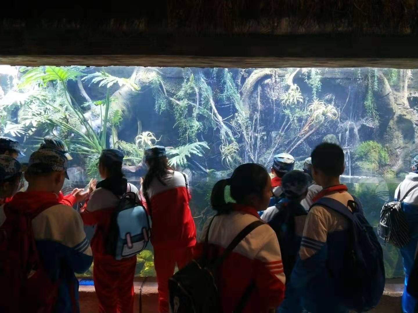 1573520560907003173.jpg 微信图片_20191111100402.jpg