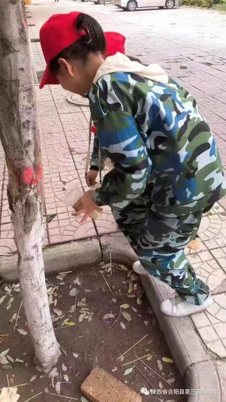 1573713454897098888.jpg 微信图片_201911140752542.jpg