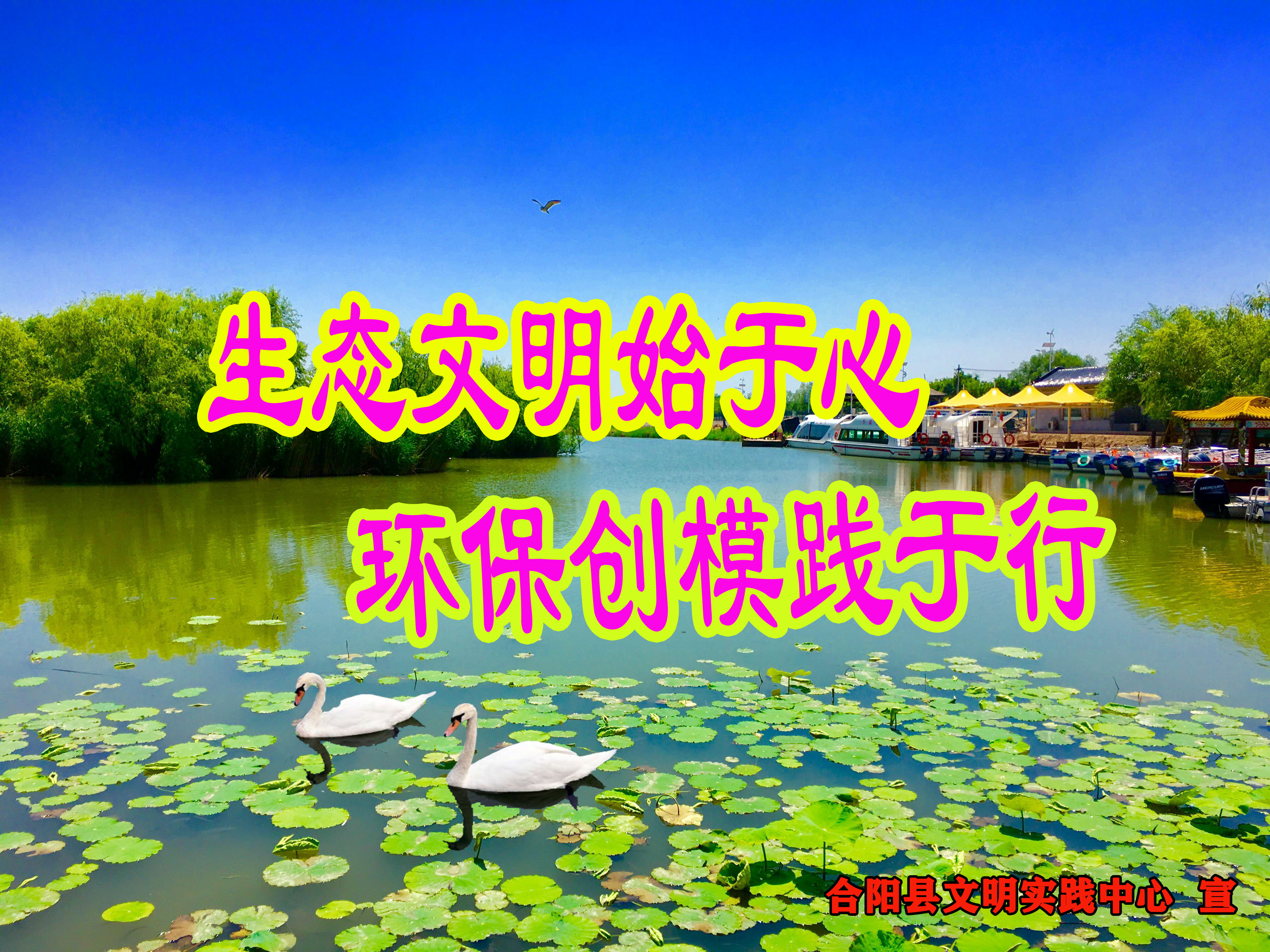 1577240278779023110.jpg 微信图片_201910290812057.jpg