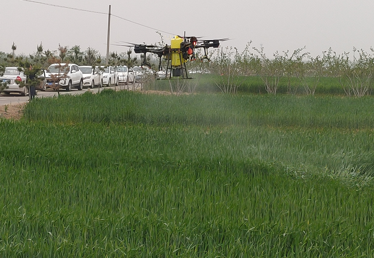 1619317510536081554.png 1.png