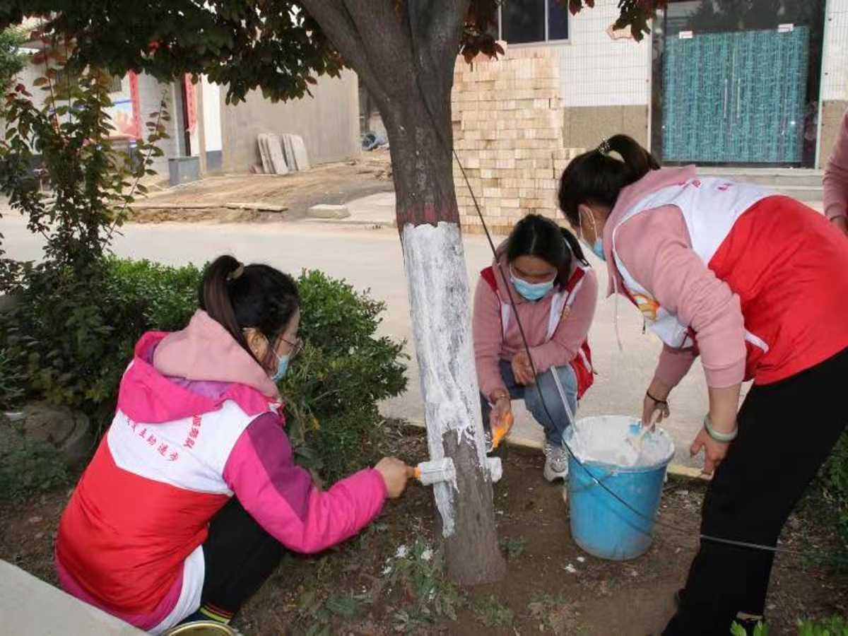 1651229362003016330.jpg 1651229362003016330.jpg