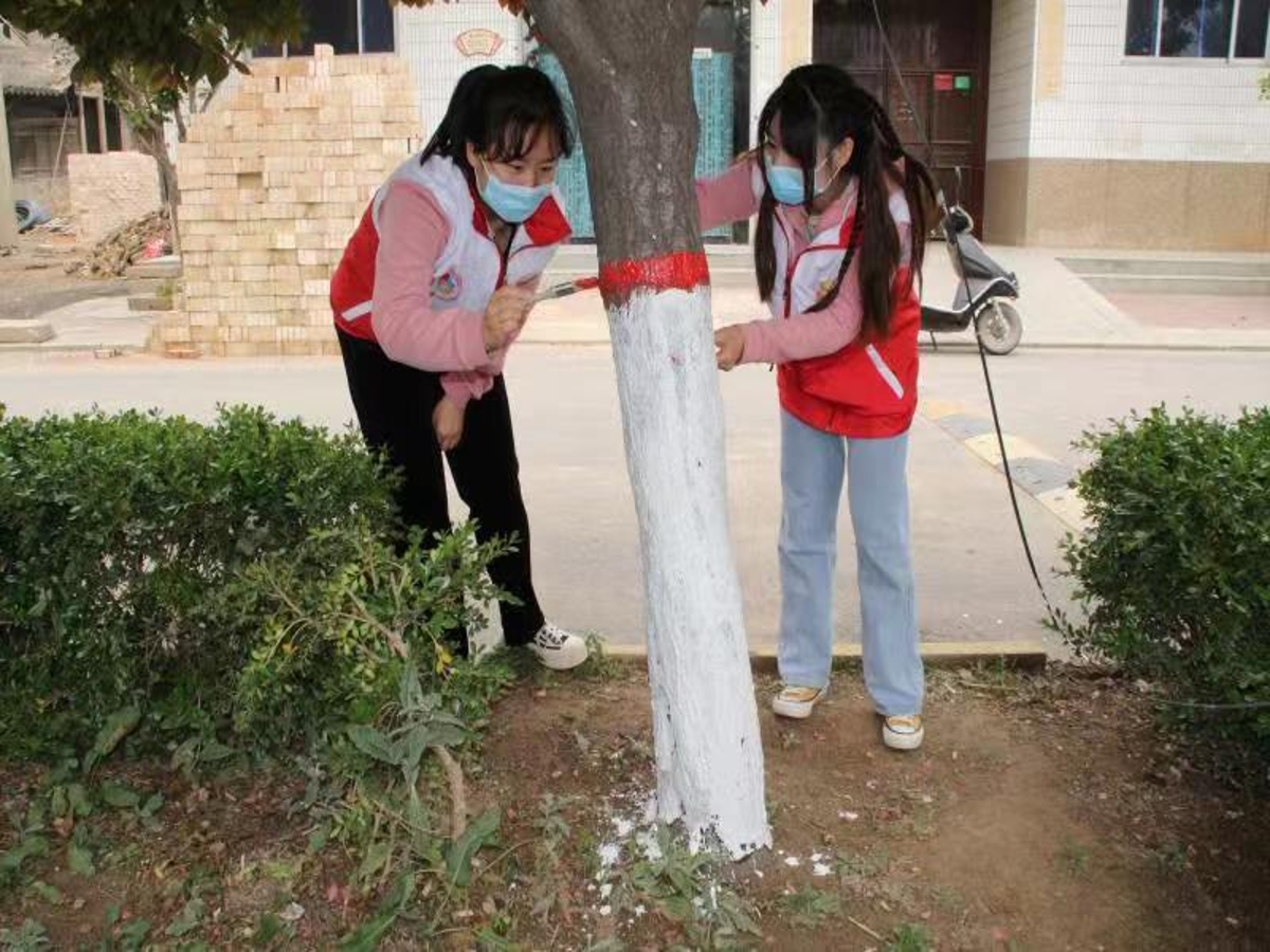 1651229405900006917.jpg 1651229405900006917.jpg