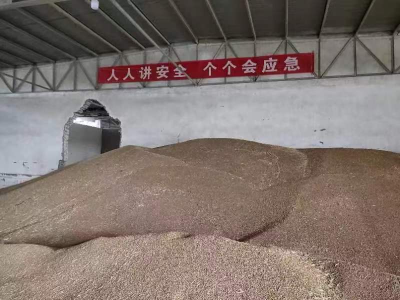 微信图片_20230621161812.jpg