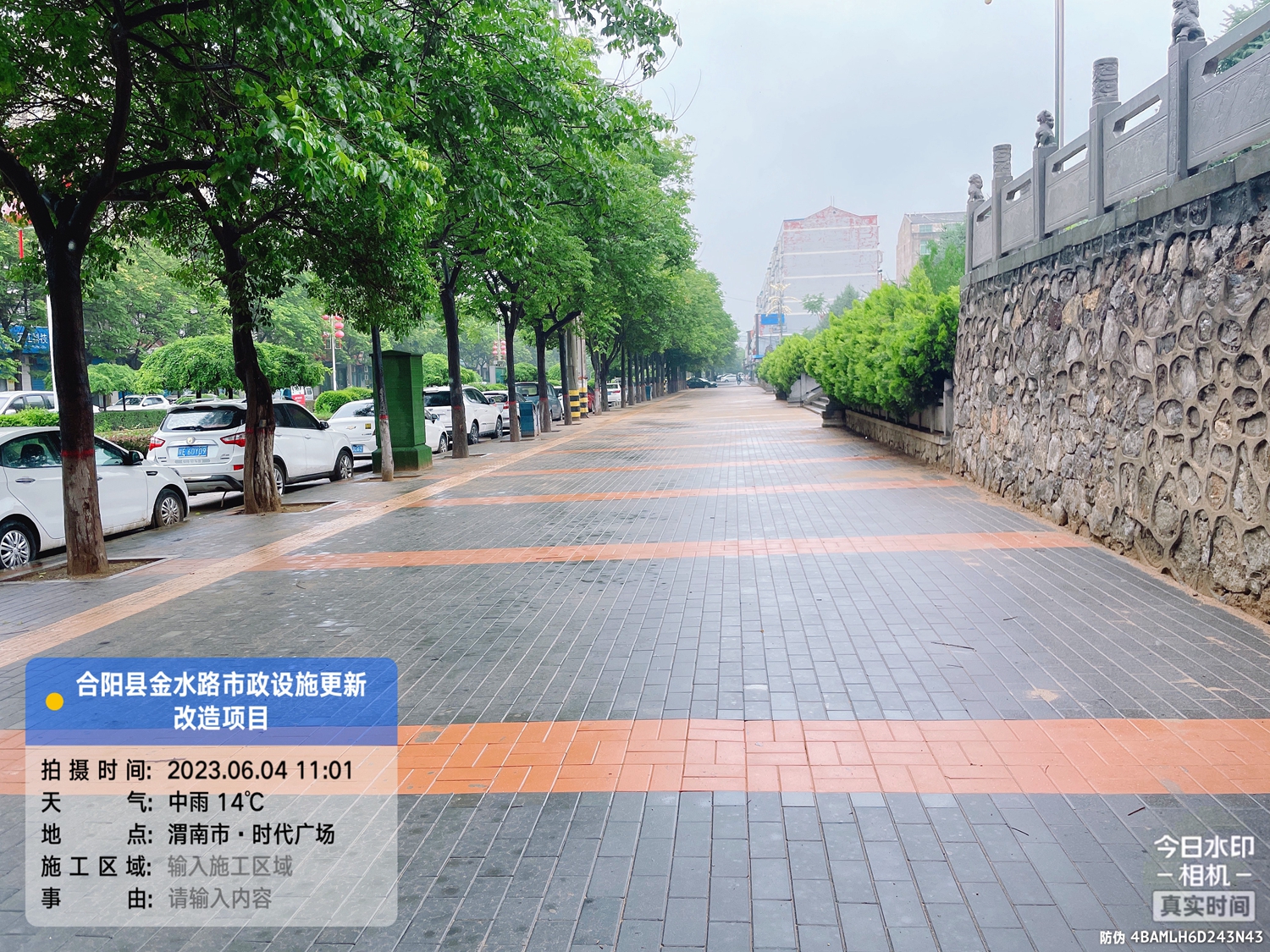 金水路南段市政设施更新改造后.jpg