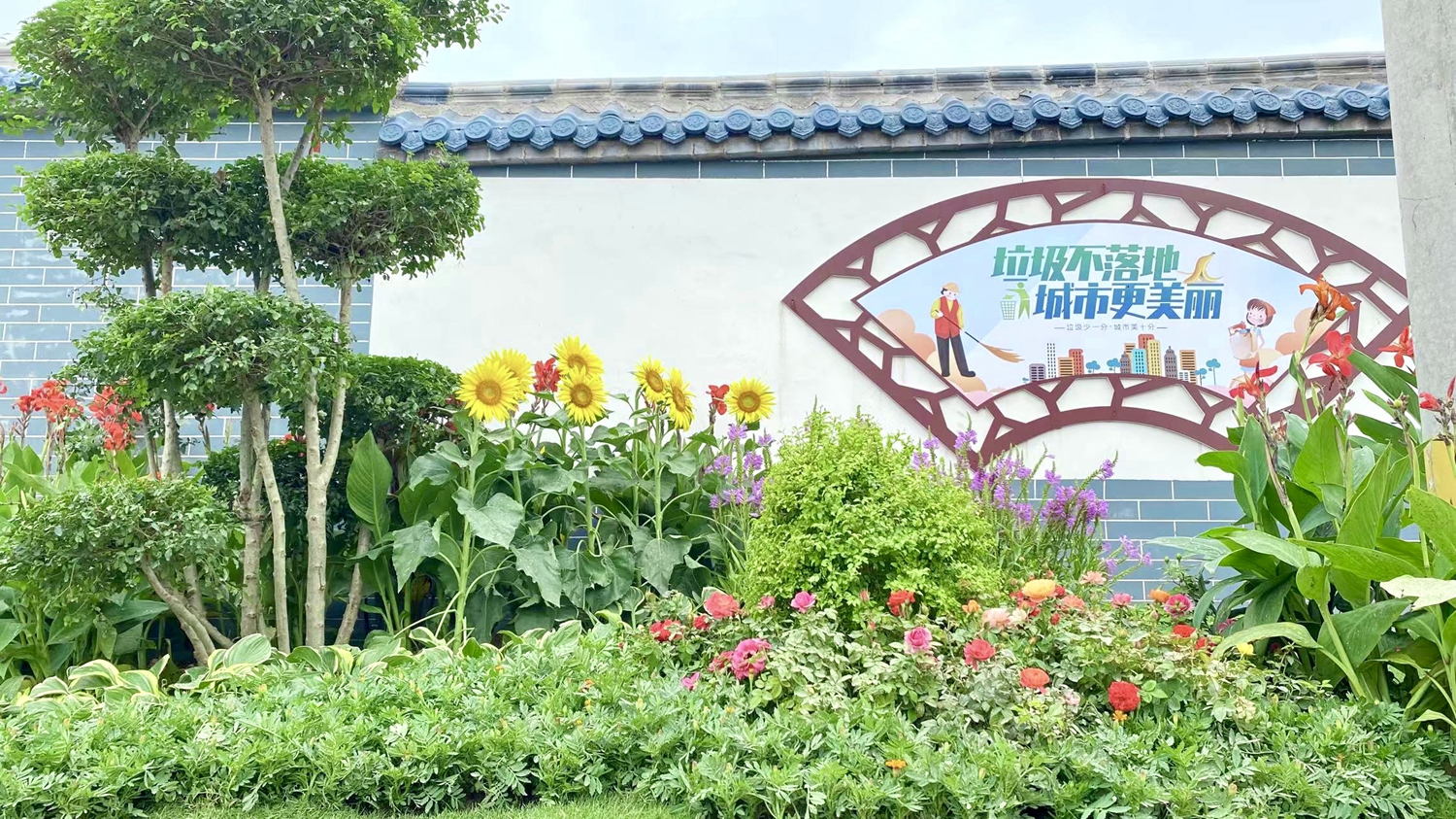 合洽路立体绿化.jpg