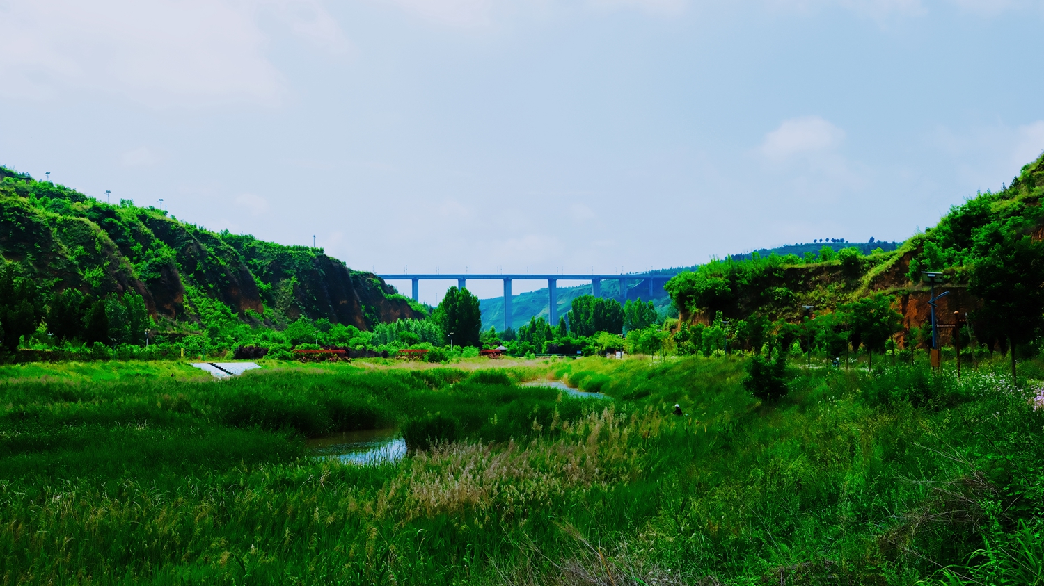 金水生态湿地公园1.jpg