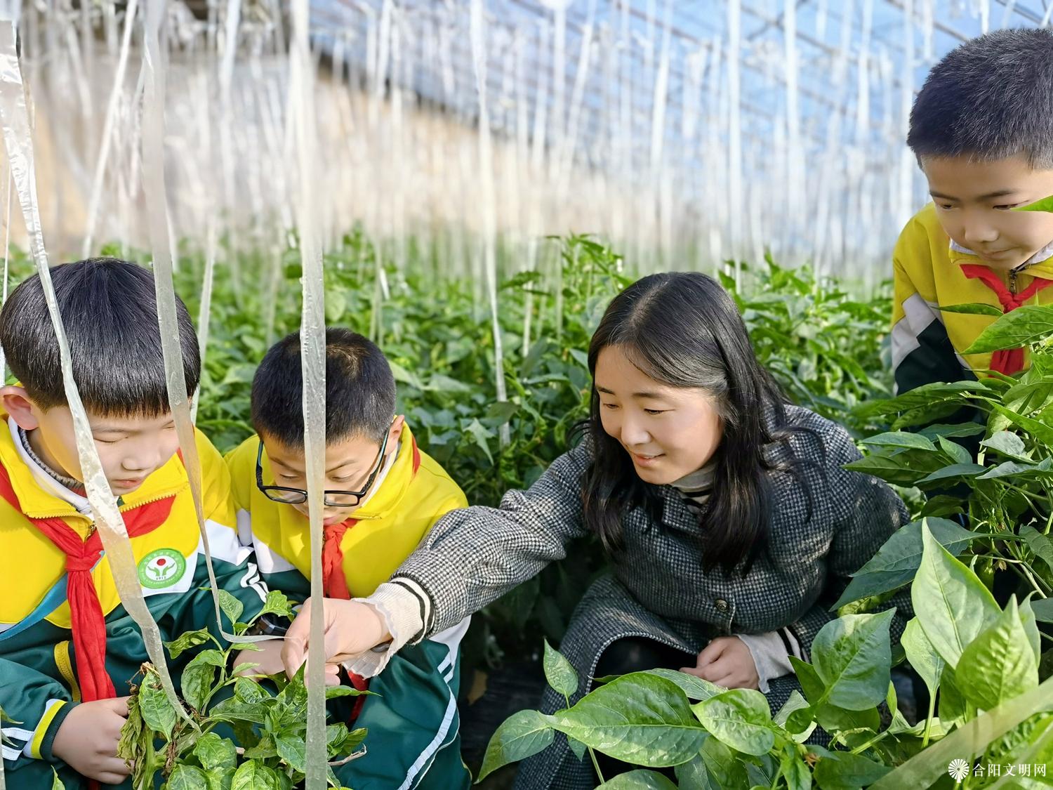 2.城关小学开展校外劳动实践活动.jpg