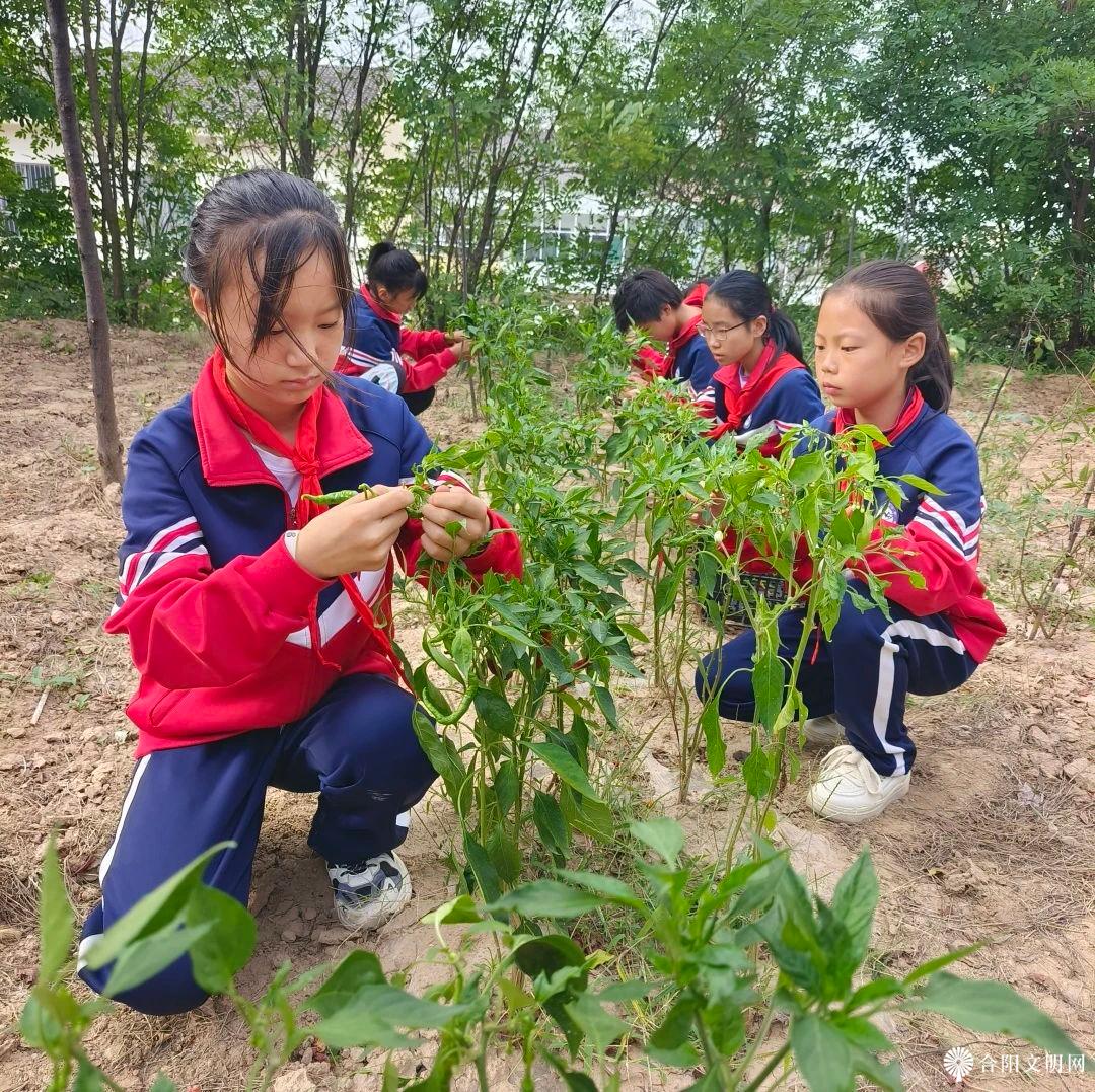 微信图片_20230914080406.jpg