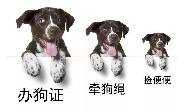 f60108103d714d21851fefbd71ef43c6.jpeg