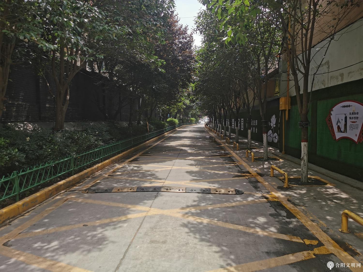 杏林街市政基础设施提升项目改造后_副本.jpg