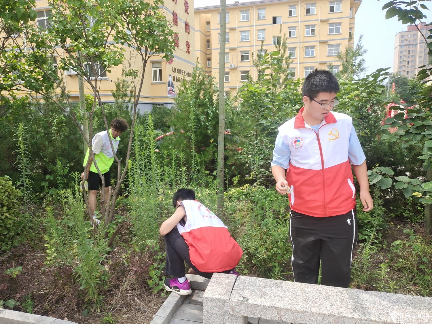 微信图片_20240809084350.jpg